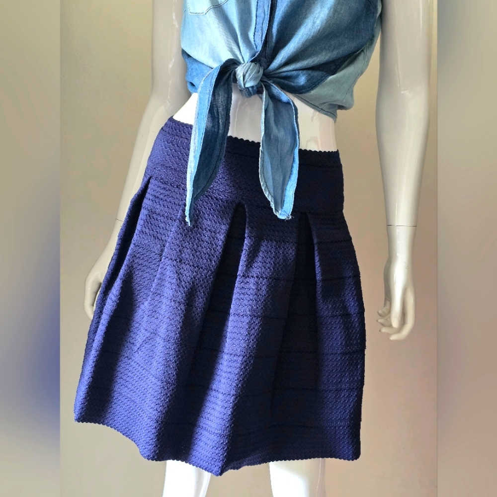 Navy Blue Textured Mini Skirt By Freestyle Revolution